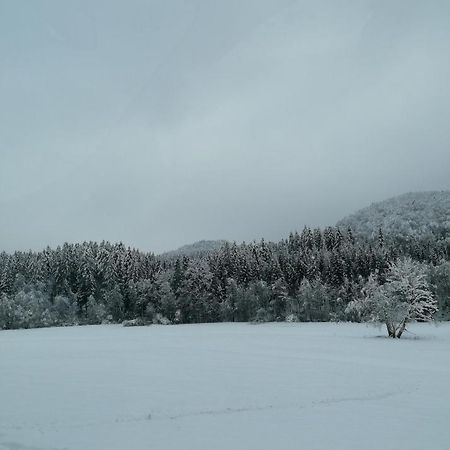 Schwarzwald Appartement Штайнен Экстерьер фото
