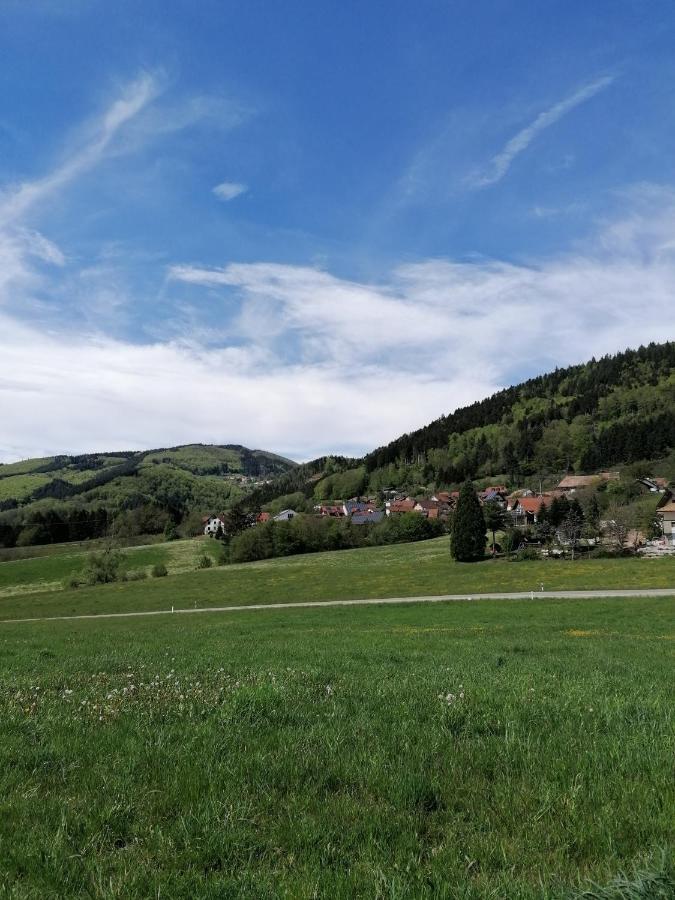 Schwarzwald Appartement Штайнен Экстерьер фото