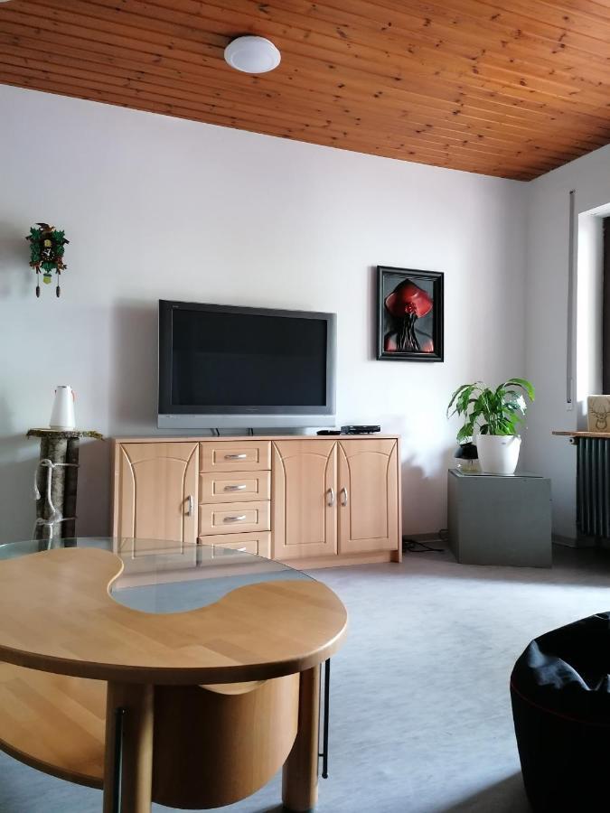 Schwarzwald Appartement Штайнен Экстерьер фото