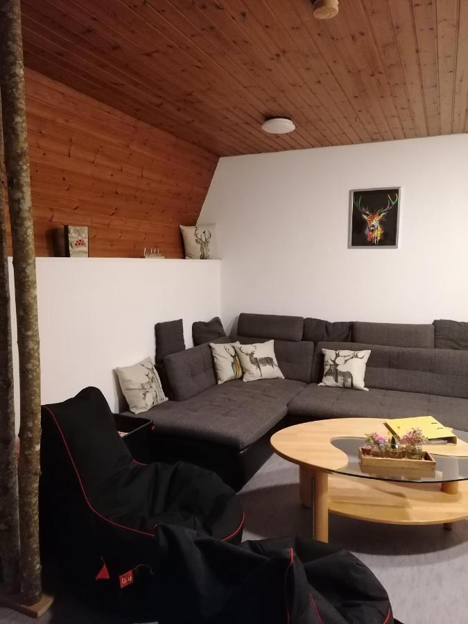 Schwarzwald Appartement Штайнен Экстерьер фото