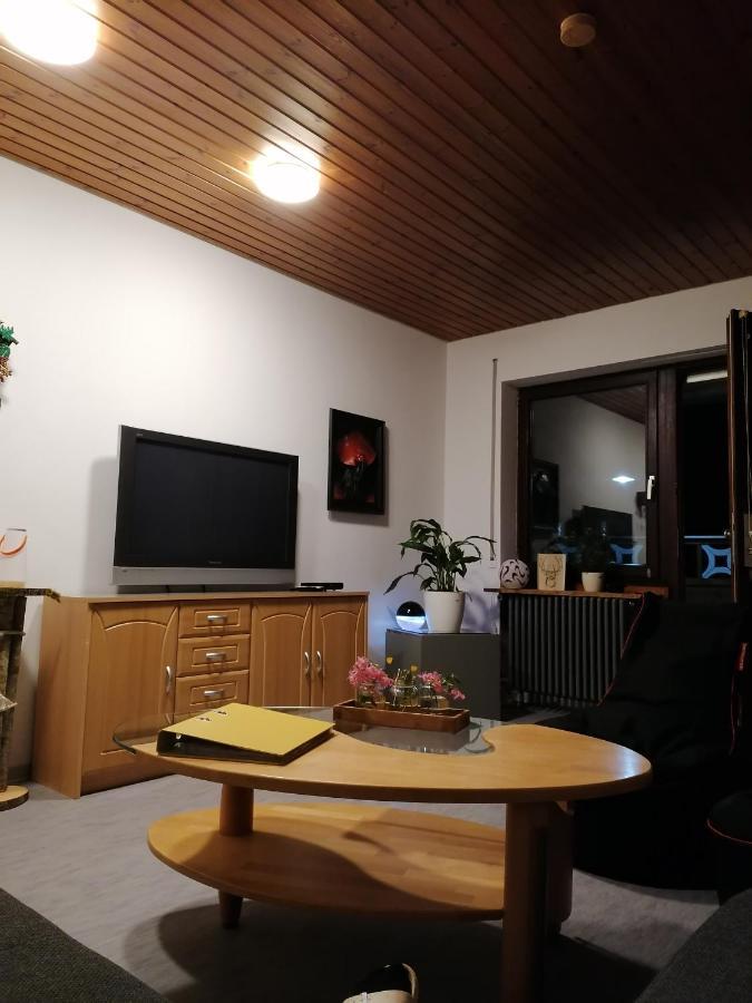 Schwarzwald Appartement Штайнен Экстерьер фото